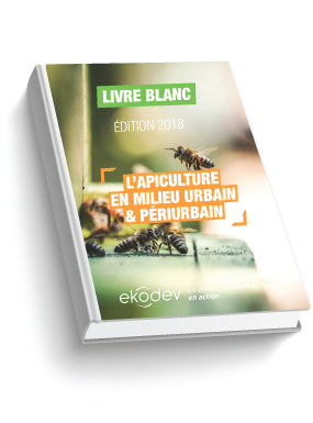 Livre Blanc Apiculture